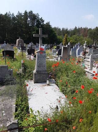 Zdjęcie powstańca styczniowego Władysław Boguski