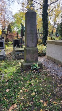 Grób Juliana Mianowskiego