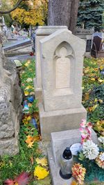 Mogiła Piotra Rawskiego