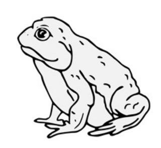 Zdjęcie dla hasła ropucha