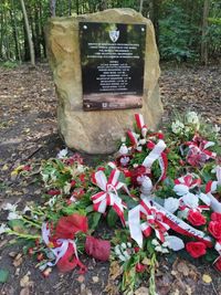 Pomnik w Dobieszkowie