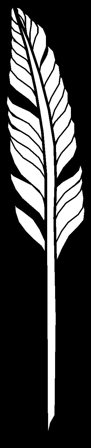 Zdjęcie dla hasła pióro