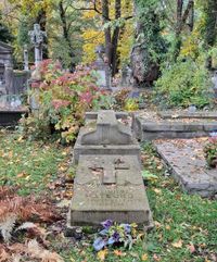 Grób Kazimierza Matejko