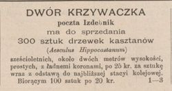 Ogłoszenie o sprzedaży kasztanów