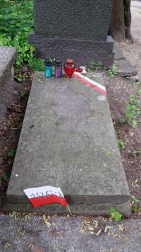 Grób Ludomira Grzybowskiego na Powązkach
