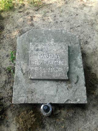 Zdjęcie powstańca styczniowego  Wajda