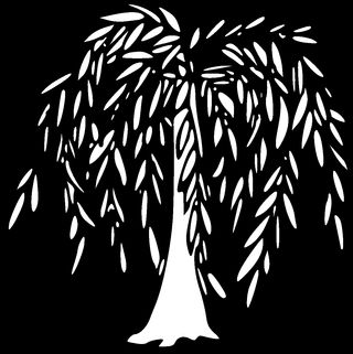 Zdjęcie dla hasła wierzba