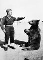 Żołnierz i  Wojtek żołnierz, -niedźwiedź z pod Monte Cassino.