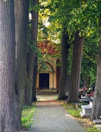 Kaplica Schmidtów na cmentarzu