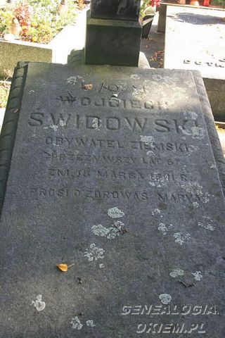 Zdjęcie - Wojciech Świdowski