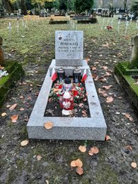 Grób Serafina Powallo