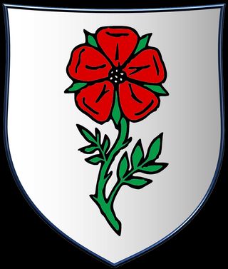 Zdjęcie dla hasła Schmidt