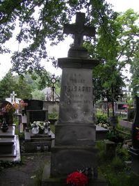 Potiebnia prowadzi kosynierów