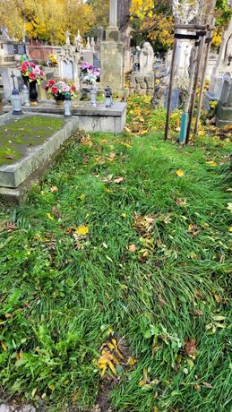 200.Grób Mieczysława Miszewskiego