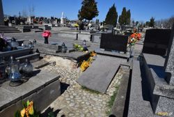 Grób Władysława Slaskiego