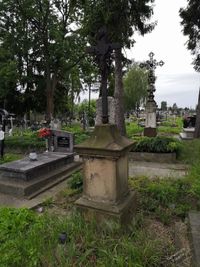 Grób w Kazimierzy Wielkiej