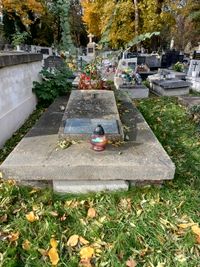 Grób Apolinarego Hofmeistera