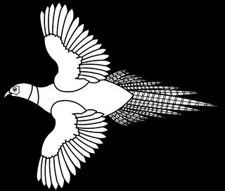 Zdjęcie dla hasła bażant