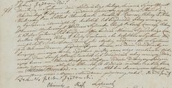 Metryka chrztu Adama Chmielowskiego