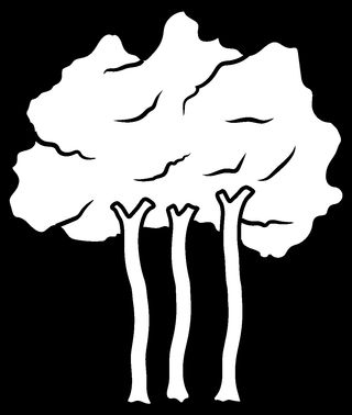 Zdjęcie dla hasła las