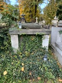 Grób Wilhelma Przybylskiego