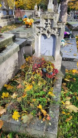 Grób sióstr Janowskich