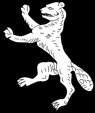 Zdjęcie dla hasła bóbr