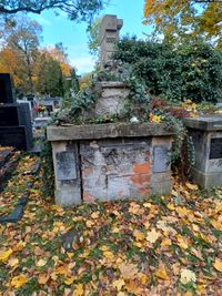 Grób Żelechowskiego