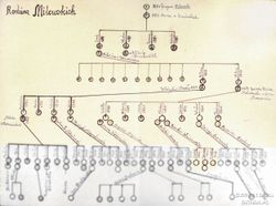 Drzewo genealogiczne Milewskich